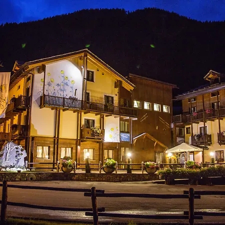 호텔 Boton D'or & Wellness A 3*