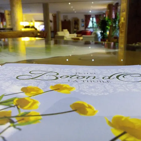 Boton D'or & Wellness A