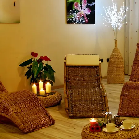 Boton D'or & Wellness A