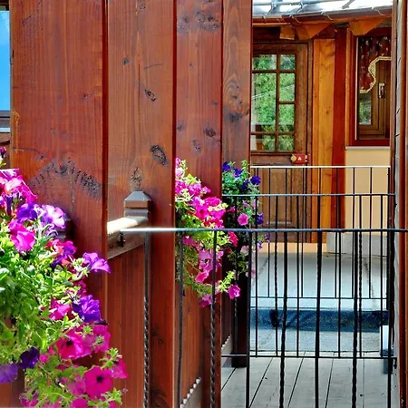 Boton D'or & Wellness A Otel