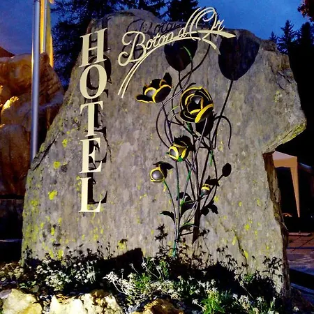 Boton D'or & Wellness A