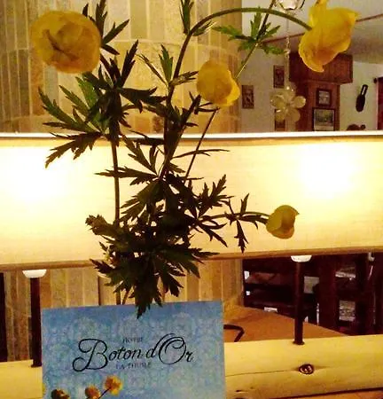 Boton D'or & Wellness A La Thuile