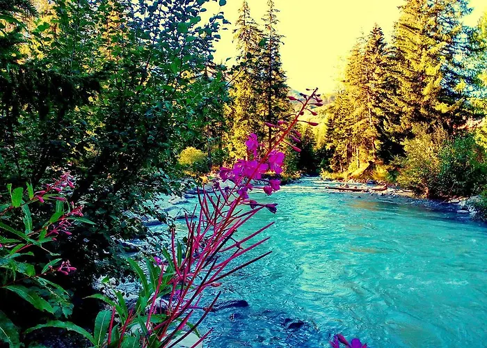 Hotel Boton D'or & Wellness A 3*